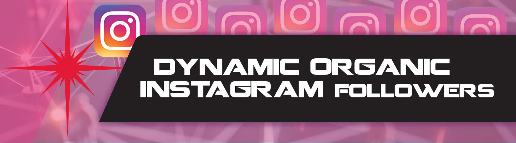 Dynamic Organic Instagram Followers